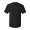 Hanes Men's Essential-T Cotton T-Shirt - 5280, Short Sleeve Arts & Craft Blank Tee